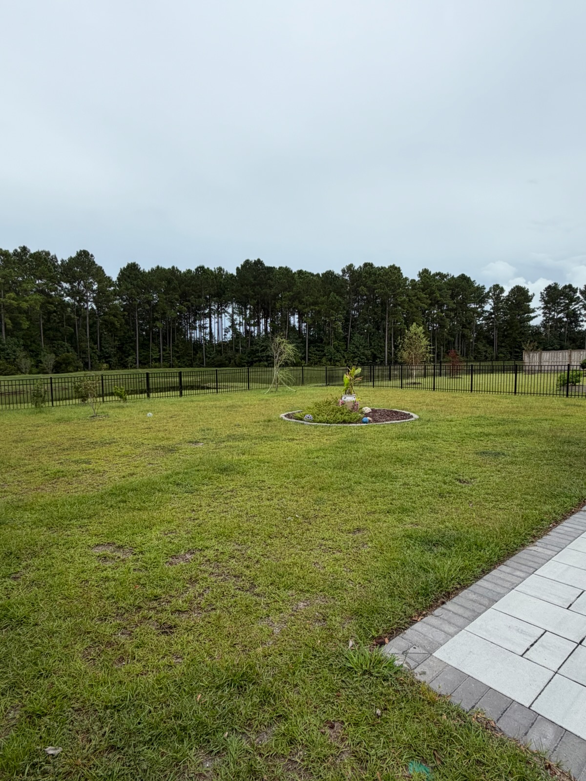 Open grassy backyard enclosed by a fence